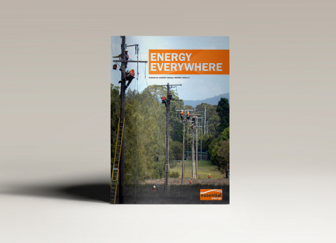 Essential Energy: Annual Report 2017